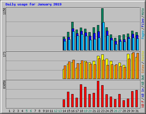 Daily usage for January 2019