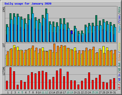 Daily usage for January 2020