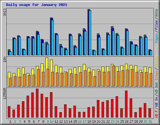 Daily usage for January 2021