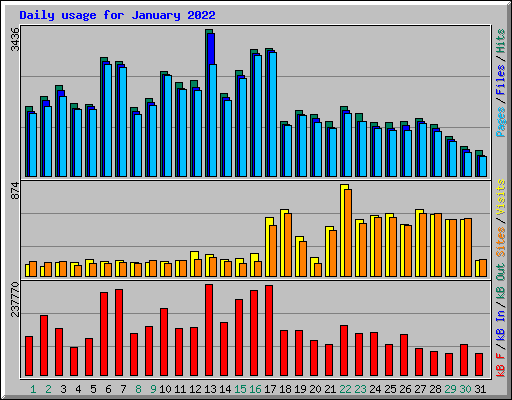 Daily usage for January 2022