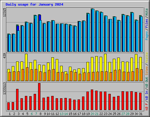 Daily usage for January 2024