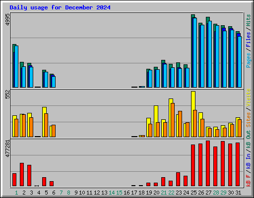 Daily usage for December 2024