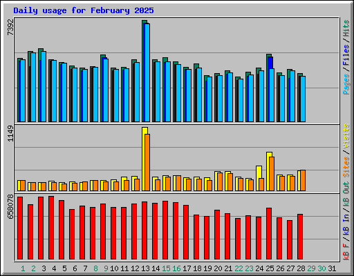 Daily usage for February 2025