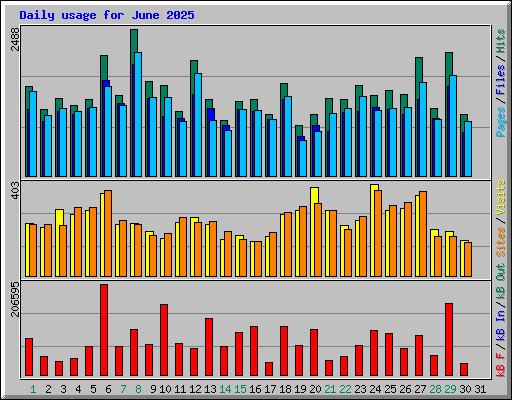 Daily usage for June 2025