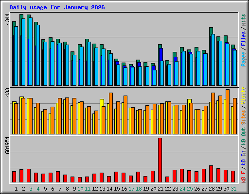 Daily usage for January 2026