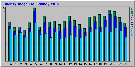 Hourly usage for January 2016