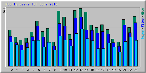 Hourly usage for June 2016