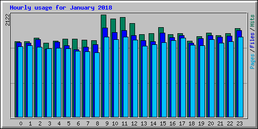 Hourly usage for January 2018