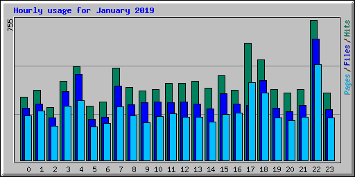 Hourly usage for January 2019