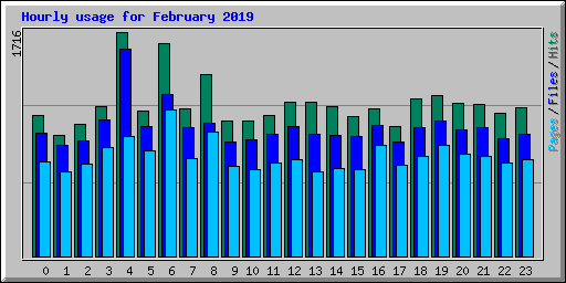 Hourly usage for February 2019