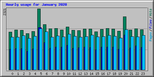 Hourly usage for January 2020