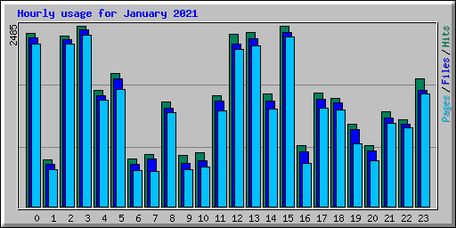 Hourly usage for January 2021