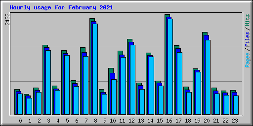 Hourly usage for February 2021