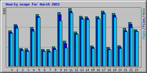 Hourly usage for March 2021