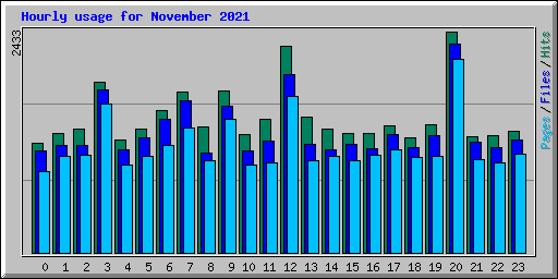 Hourly usage for November 2021