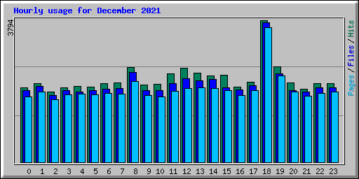 Hourly usage for December 2021