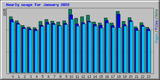 Hourly usage for January 2022