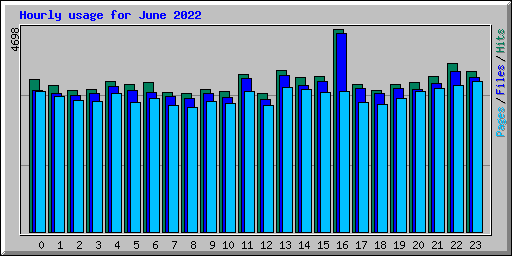 Hourly usage for June 2022