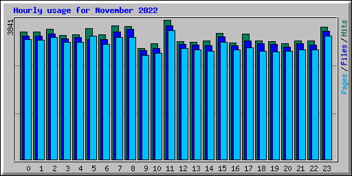 Hourly usage for November 2022