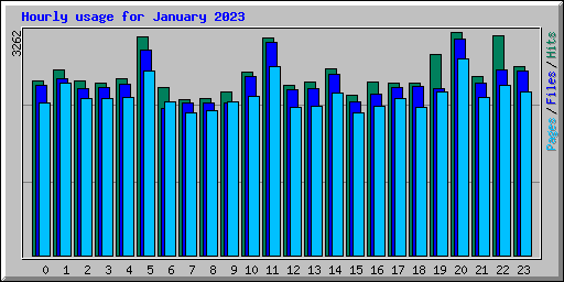 Hourly usage for January 2023