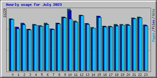 Hourly usage for July 2023