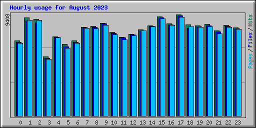 Hourly usage for August 2023