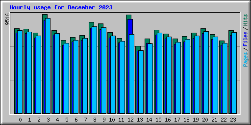 Hourly usage for December 2023