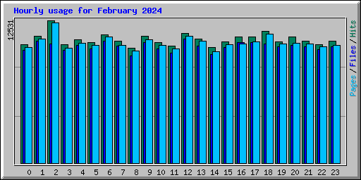 Hourly usage for February 2024