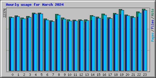 Hourly usage for March 2024