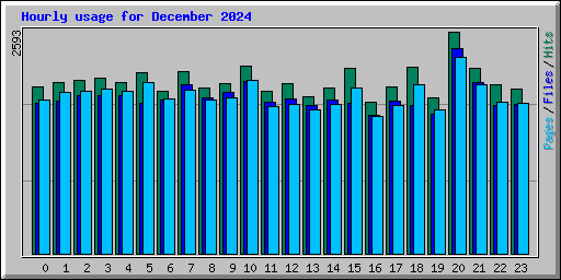 Hourly usage for December 2024