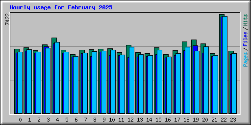 Hourly usage for February 2025