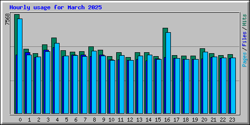 Hourly usage for March 2025
