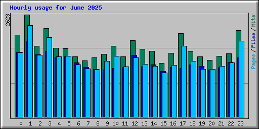 Hourly usage for June 2025