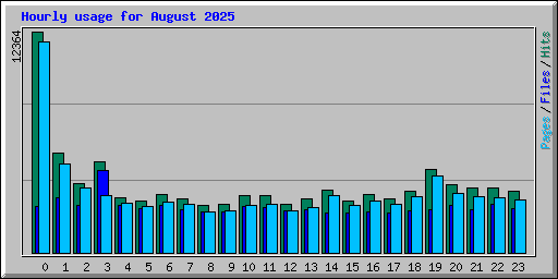Hourly usage for August 2025