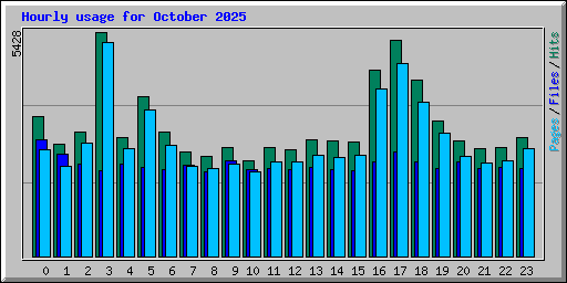 Hourly usage for October 2025