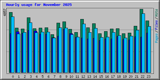Hourly usage for November 2025