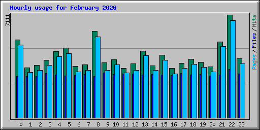 Hourly usage for February 2026