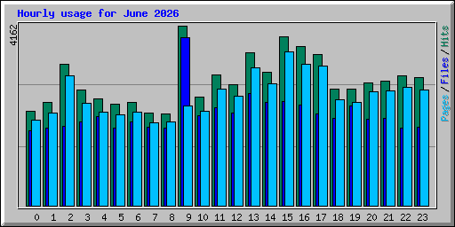 Hourly usage for June 2026