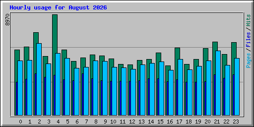 Hourly usage for August 2026